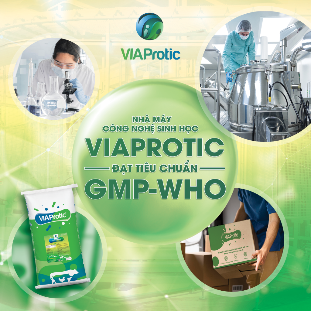 VIAProtic - NHÀ SẢN XUẤT NGUYÊN LIỆU MEN VI SINH