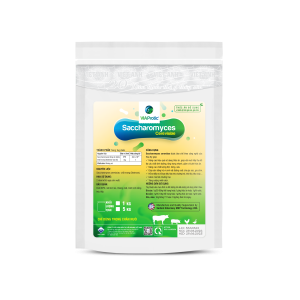 SACCHAROMYCES CEREVISIAE 1Kg