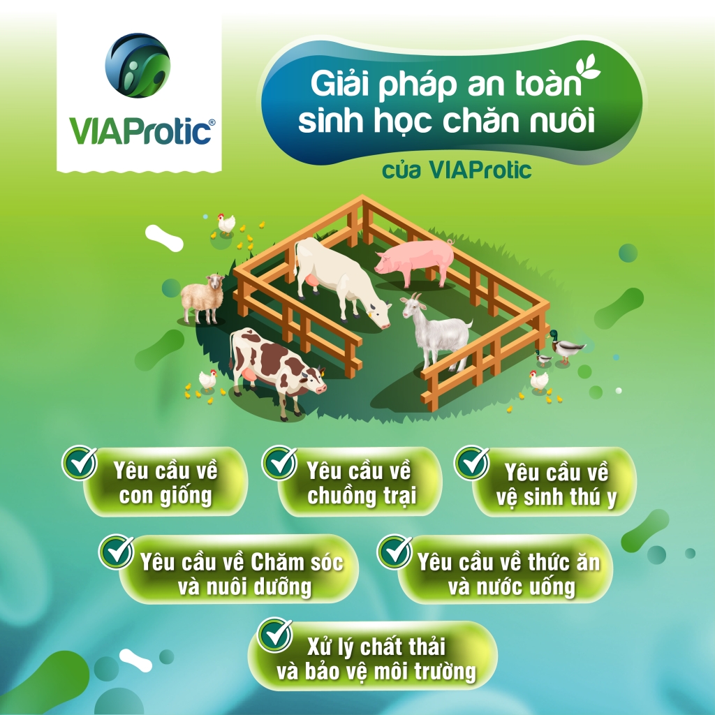 Giải pháp an toàn sinh học để bảo vệ đàn vật nuôi