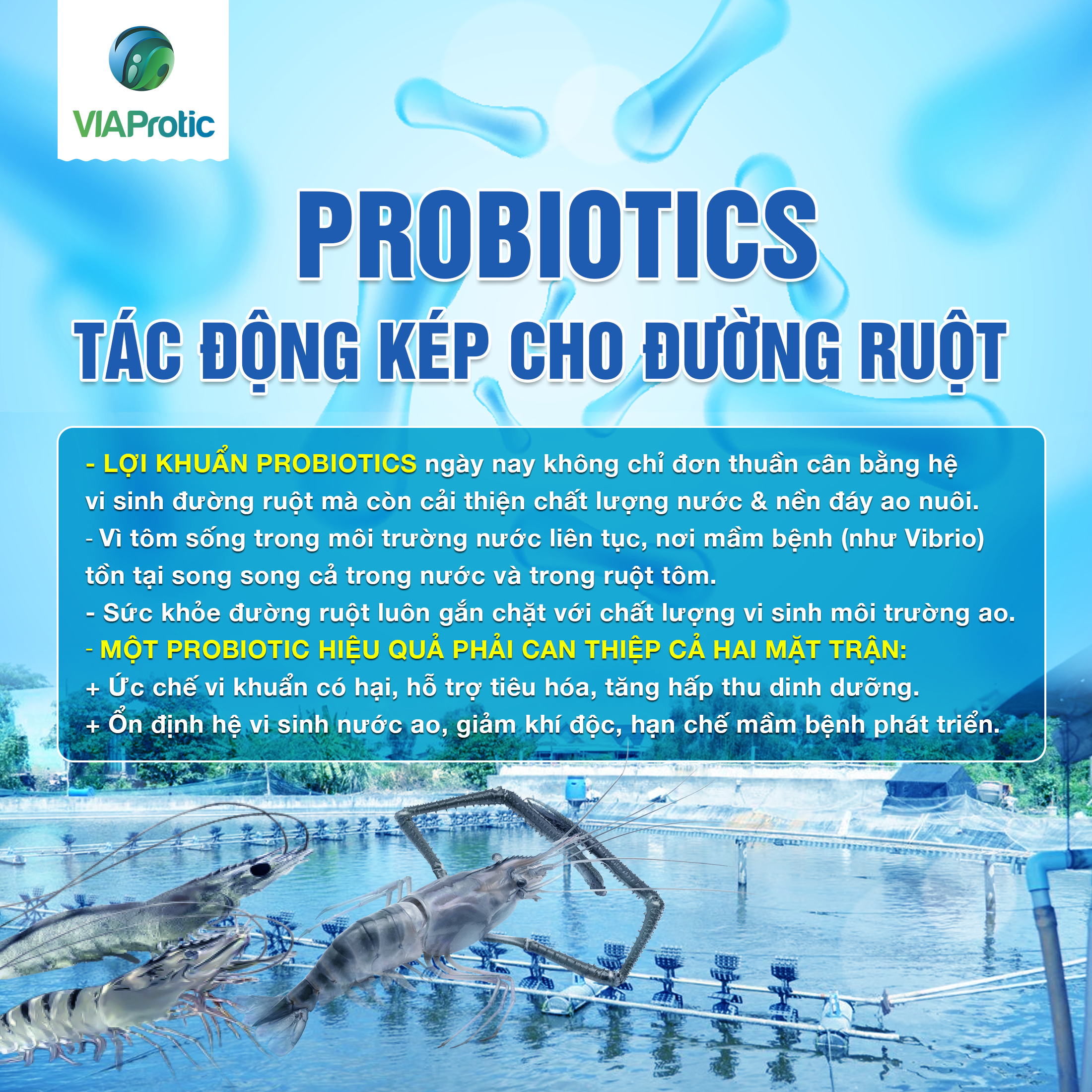Probiotics – “Nhà điều tiết sống” của hệ sinh thái thuỷ sản