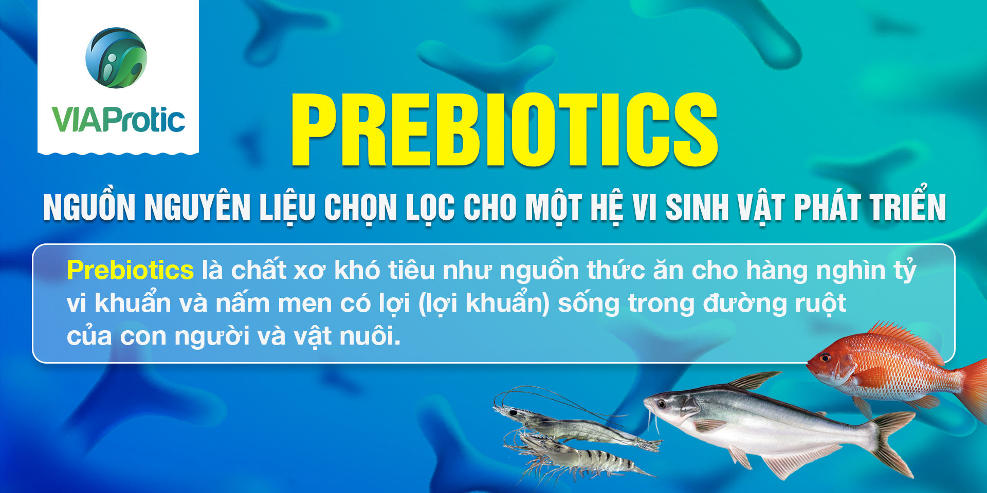Prebiotics – Nguồn nguyên liệu chọn lọc cho một hệ vi sinh vật phát triển