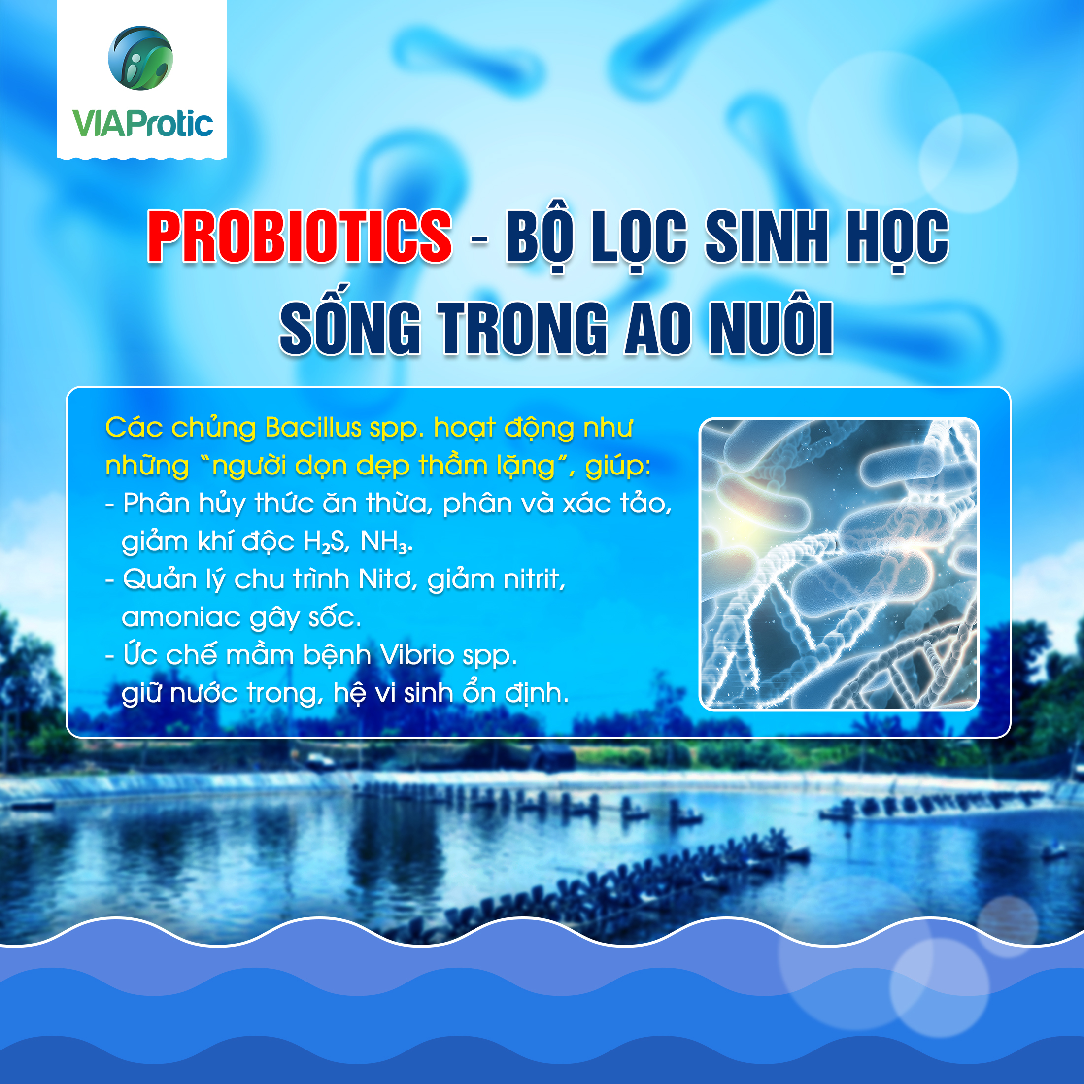 QUẢN LÝ MÔI TRƯỜNG NƯỚC THUỶ SẢN QUA BỔ SUNG SINH HỌC