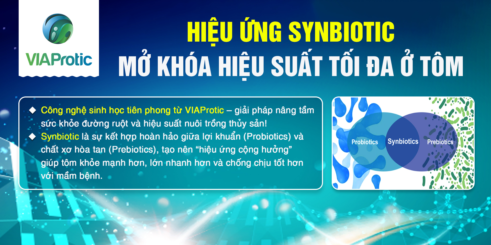 Hiệu ứng Synbiotic: Mở khóa hiệu suất tối đa ở tôm
